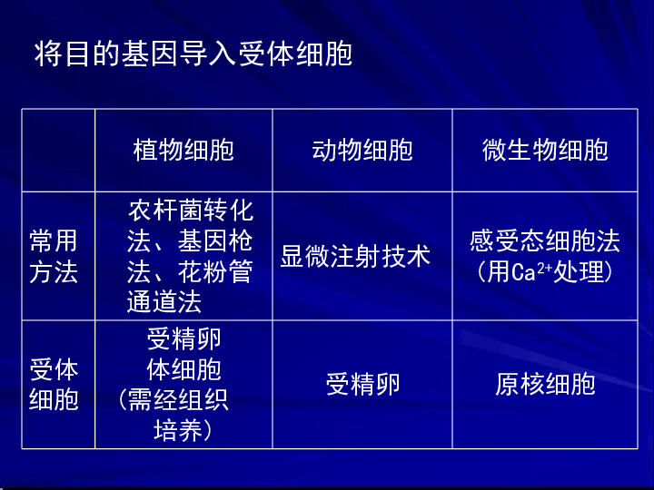 新澳精准资料大全,科技成语分析落实_游戏版256.184