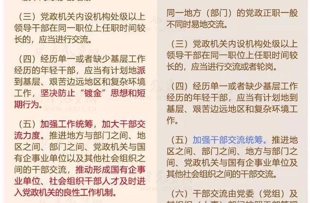 一码一肖100%的资料,决策资料解释落实_游戏版256.184